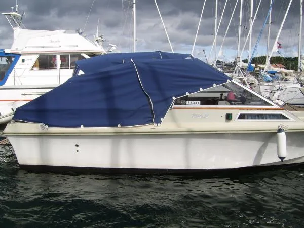 Windy 24