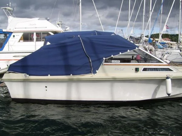 Windy 24