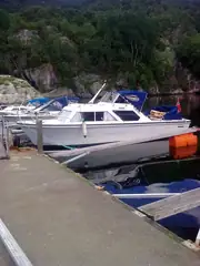 Scand 24cc