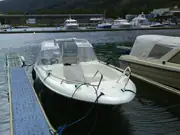 Rana 460 s GH