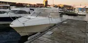 Örnvik 610 Cruiser