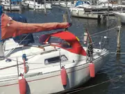 Albin 30 Scampi
